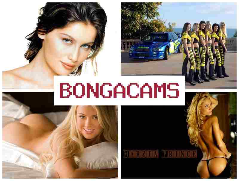 BINGA CAMS 💛 Epic Teen Webcam Forum