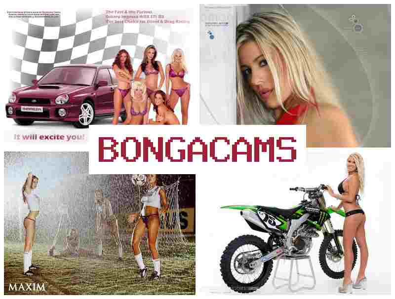 B9NGA CAMS 😍 Free Girl, Webcams Telegraph