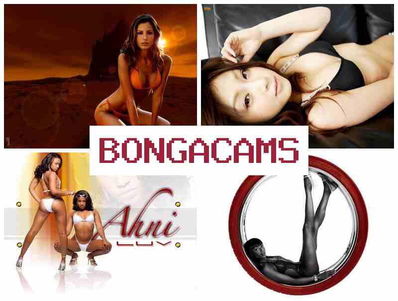 BOHGA CAMS 🔔 Webcam Recorder