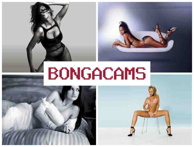 BOJGA CAMS ▓ Big Ass Masturbation Solo, Webcam