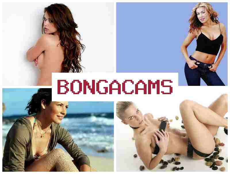 BONTA CAMS 💝 Webcam Swap Video