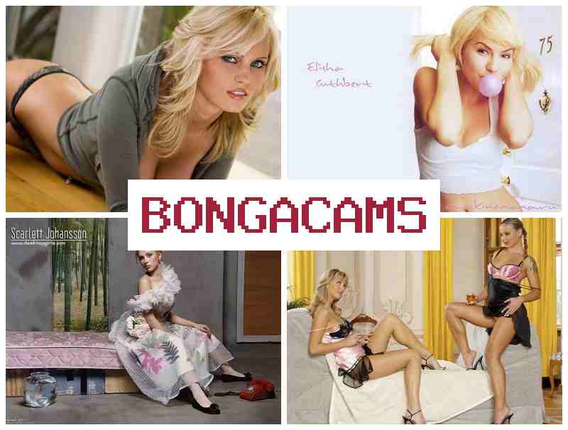 BONGA XAMS 🔞 Webcam Girl Video Privat Solo