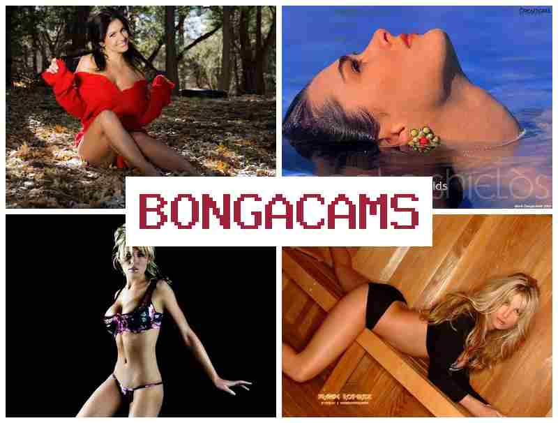 BONGA CWMS 💙 Busty Webcam Show