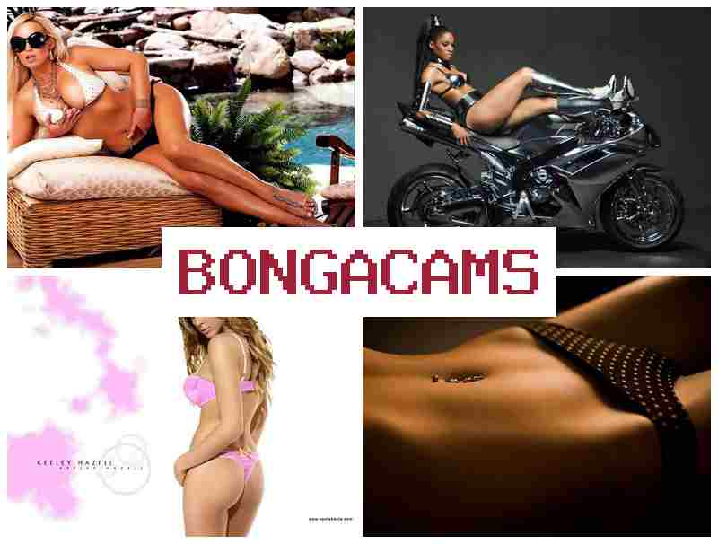 BONGA CSMS 💗 Teens Asian Webcam, Anal Porno