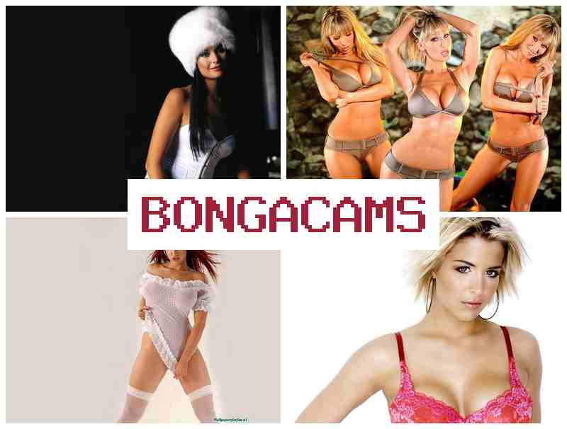 BONGA CZMS 🆕 Big Tits, Solo, Webcam Milf