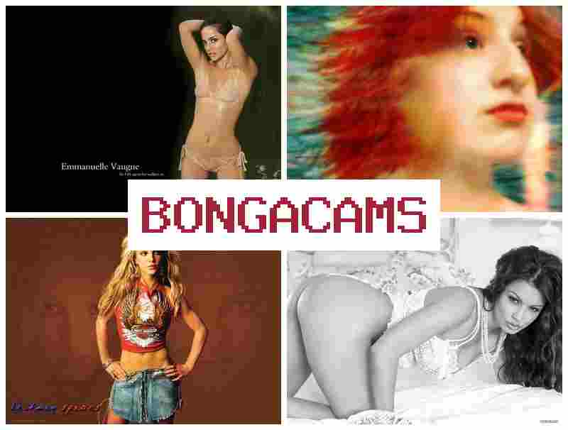 BONGA CAJS 💚 Anal Dildo, Webcam Orgasm