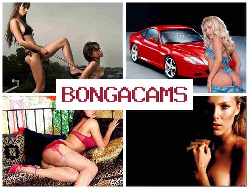 BONGA CAKS 🔷 Badte4Cher Webcam 18+