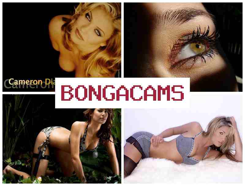 BONGA CA,S 💛 Anal, Webcam Pain