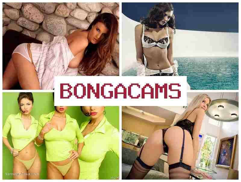BONGA CAMA 💓 Video Gallery Forum Video Webcams