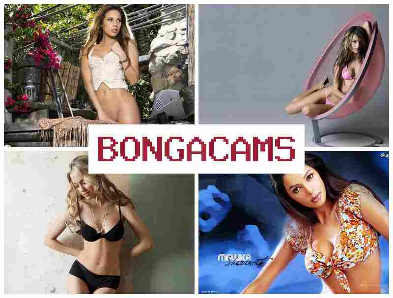 BONGA CAME 🔵 Sex Video Chat