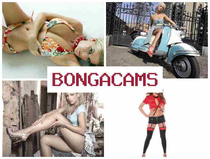 BONGA CAMX 💛 Webcam Solo Free