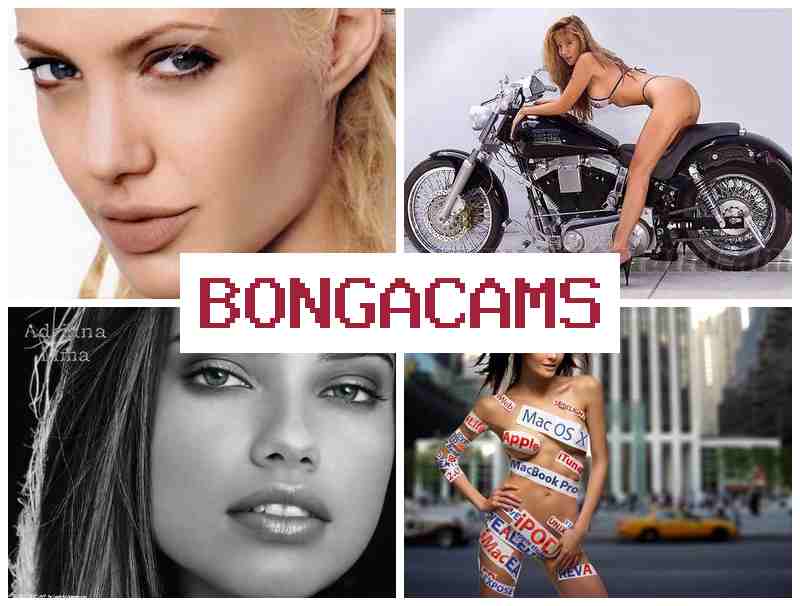 OBNGACAMS 👩 Private Video Webcam Model