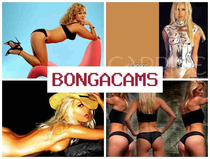 BOGNACAMS 💙 Big Cock Chat Video