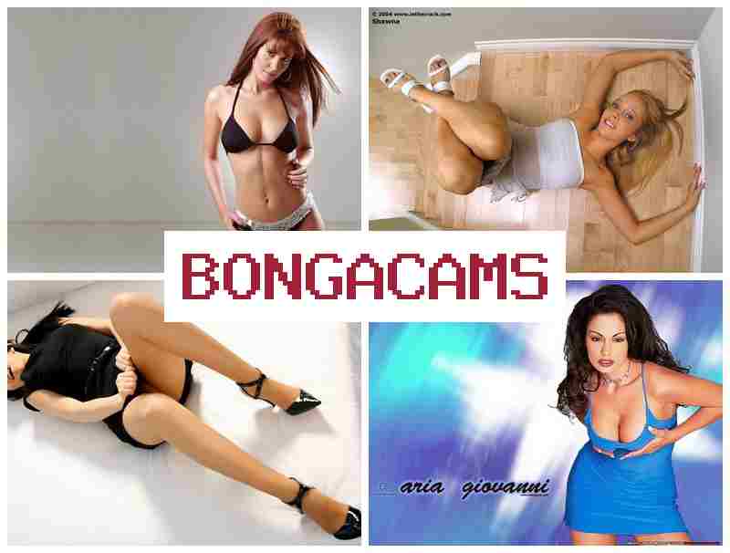 BINGACAMS ᐉ Little Model Webcam Forum Rules