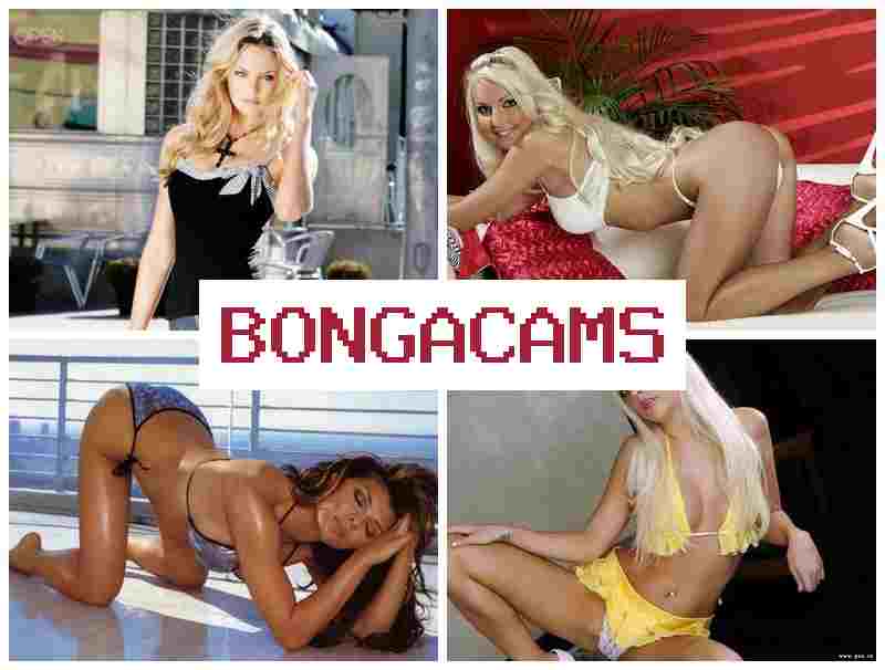 BPNGACAMS 🔔 Hidden Masturbation, Mature Webcam