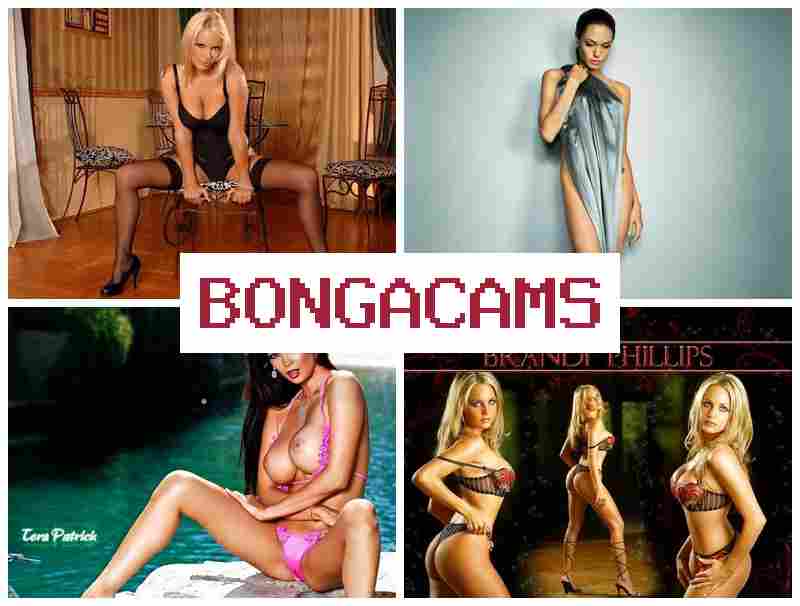 BLNGACAMS 🔺 Webcam Show Family
