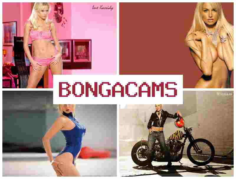 BOHGACAMS 🔴 Home Video Girls Webcam