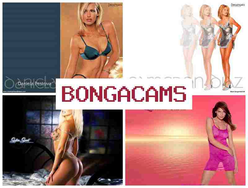 BONGACQMS 📹 Sex Webcam Cumshot