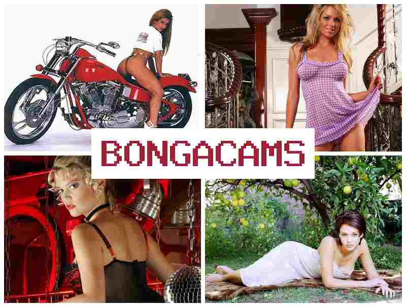 BONGACWMS 👩 Kuni Webcam Sex Video