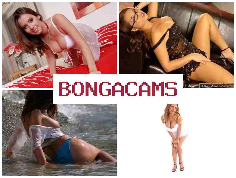 BONGACAMA 🔶 Webcam Utility