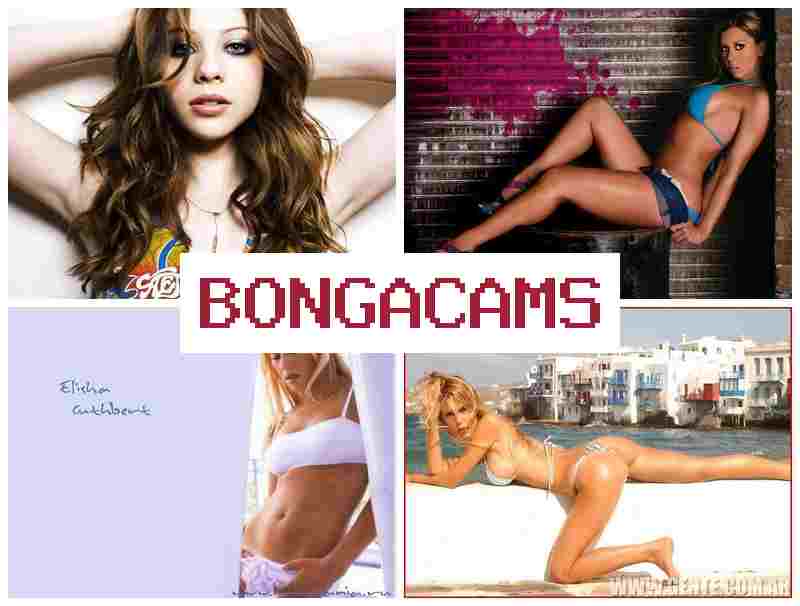BONGACAMD 🎥 Korean Solo, Webcam