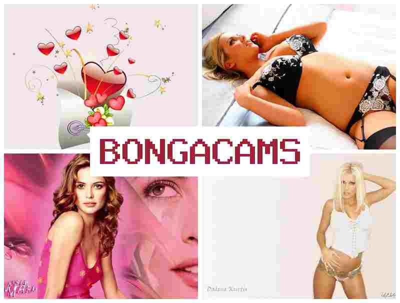 BONGACAMS 🆓 Webcam Archives XXX