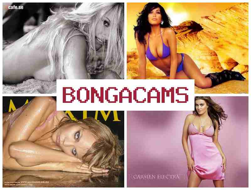BONGA CMS 💜 Video Sex Webcam Hot