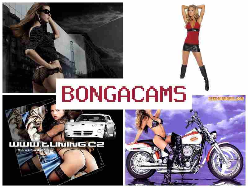 BBONGA CAMS ☑️ Wynca Webcam Model