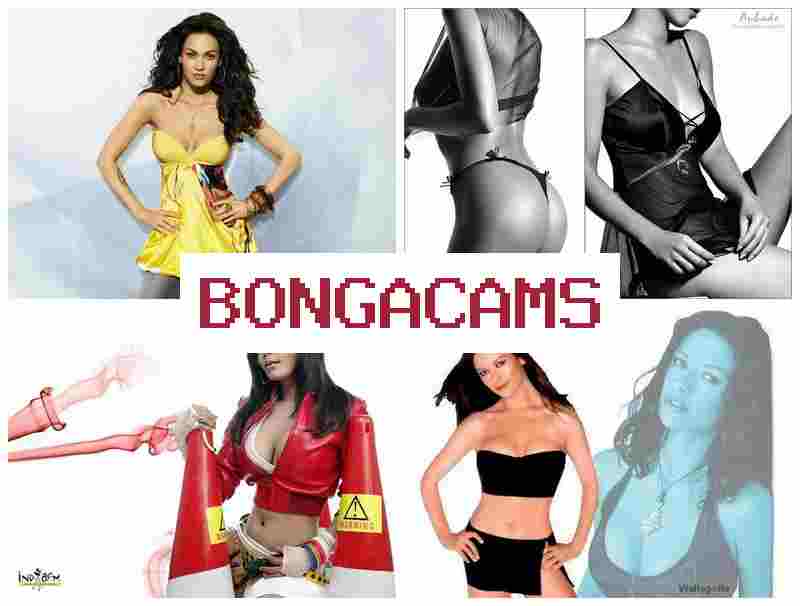 BONNGA CAMS ▒ Webcams Video Tube