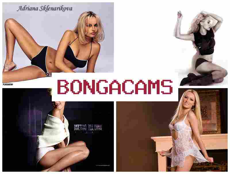BONGA CCAMS ᐉ Skinny Webcam Porn