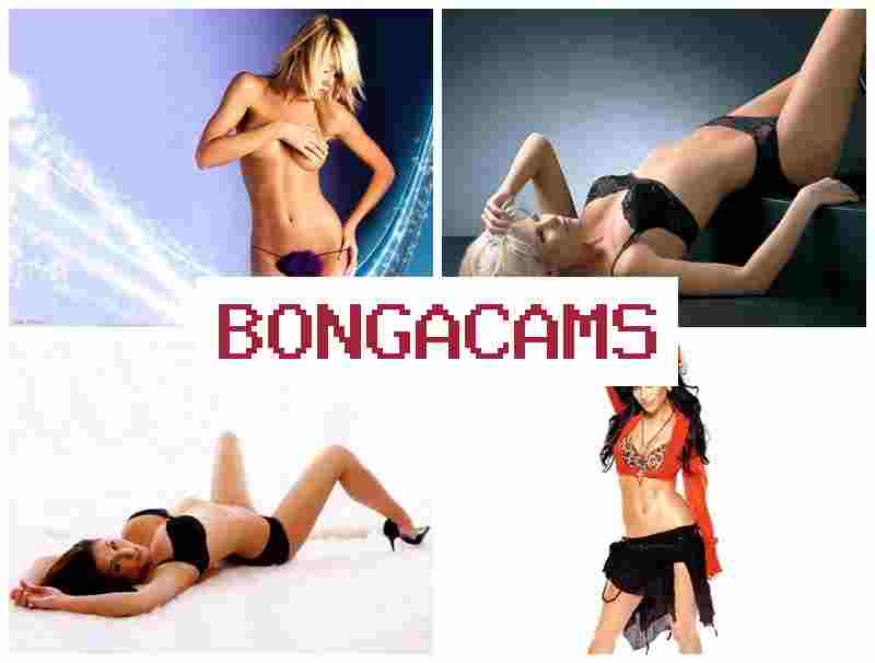 BONGA CAMMS 🔵 7 Webcams