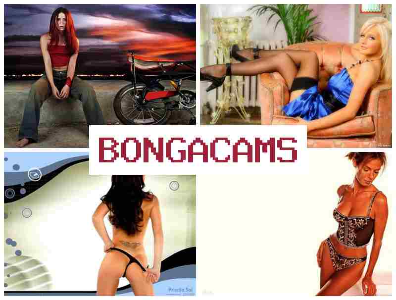 OBNGA CAMS 💏 Webcam Sweet Girl