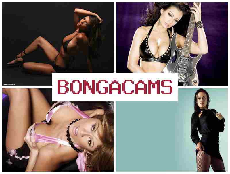 BBONGACAMS 💕 Webcam, Anal Dildo