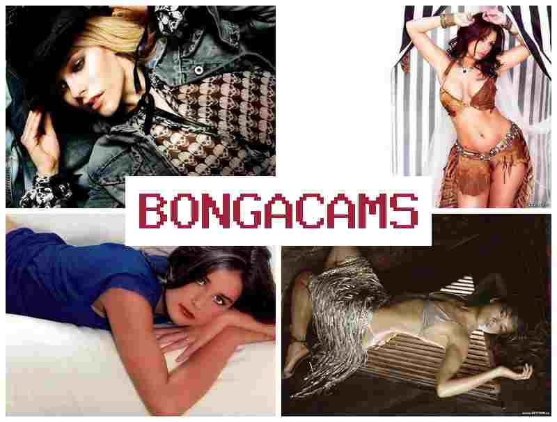 BONGA CMAS 🔵 Online Couple Webcam