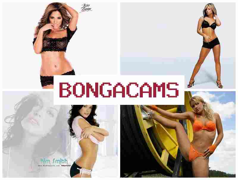 VONGA CAMS 💙 TGirl Webcam Porn