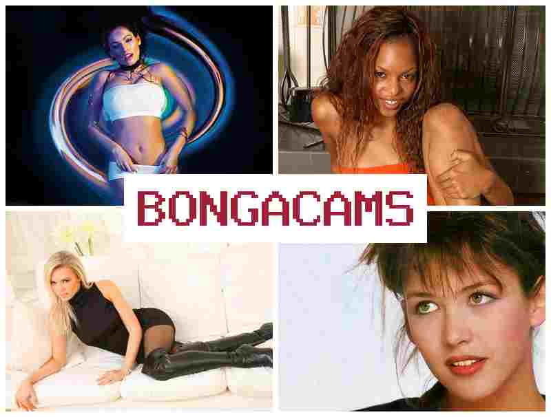 HONGA CAMS 💻 Webcam Porn Videos Zapisi
